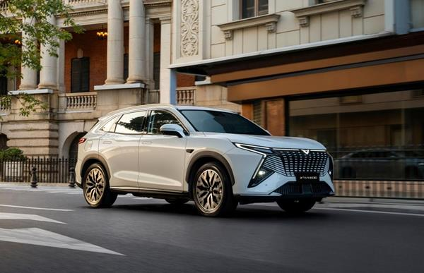 企业微信截图_17697355764662